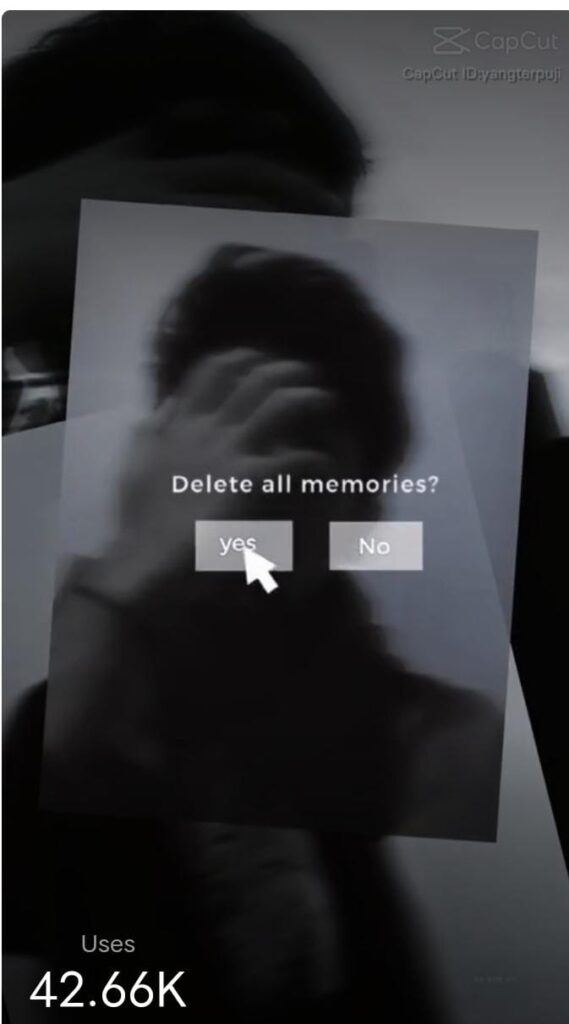 Delete all memories capcut template 2023