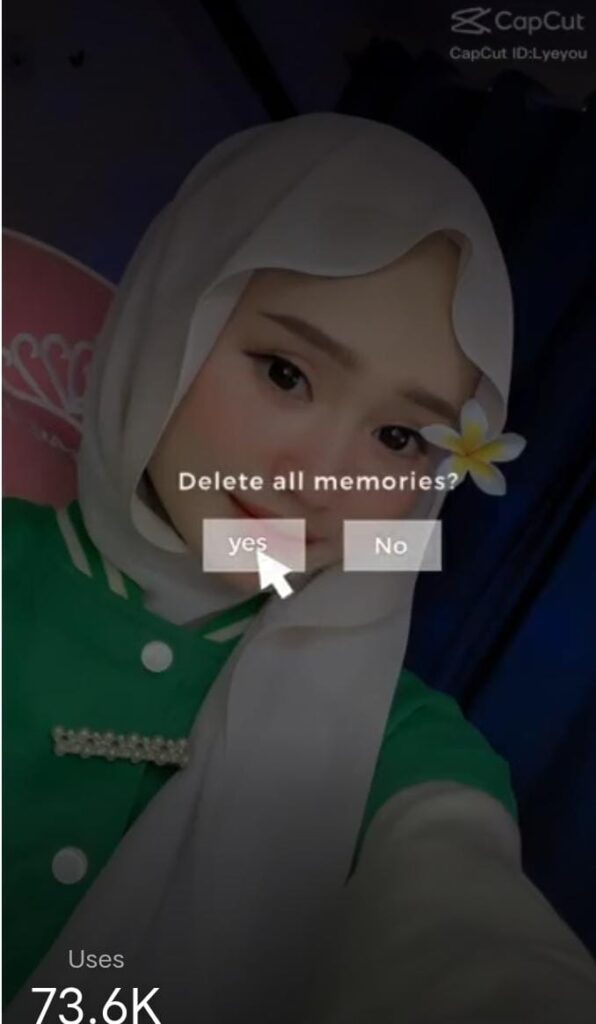 Delete all memories capcut template