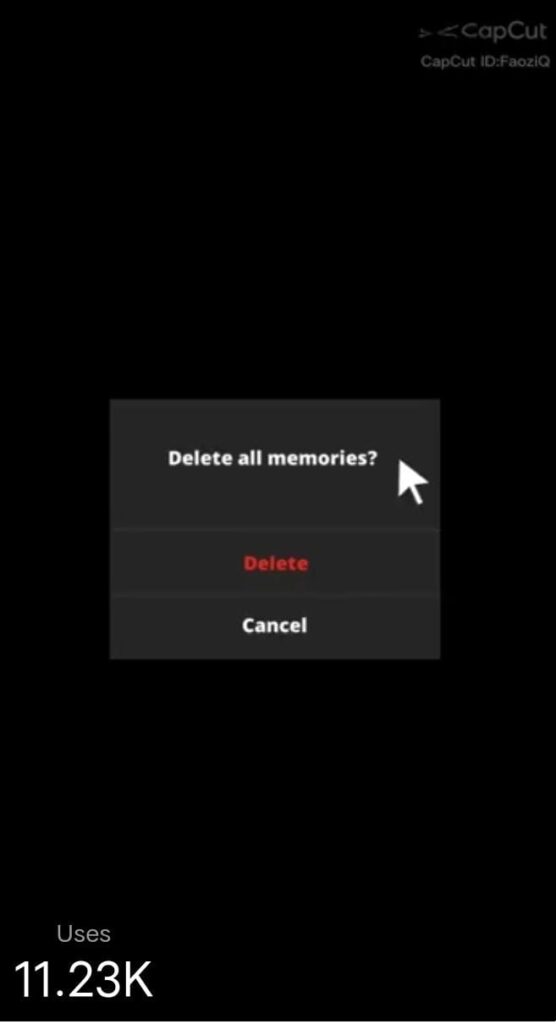 Delete all memories capcut template link
